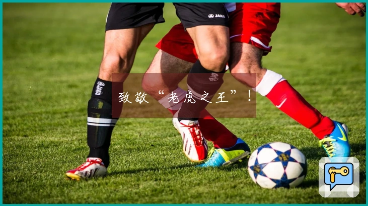 致敬“老虎之王”！