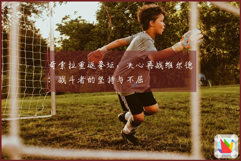奇索拉重返拳坛，决心再战维尔德：战斗者的坚持与不屈