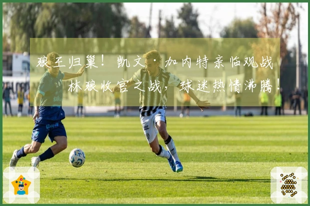 狼王归巢！凯文·加内特亲临观战森林狼收官之战，球迷热情沸腾！