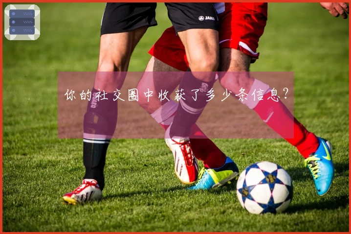 你的社交圈中收获了多少条信息？